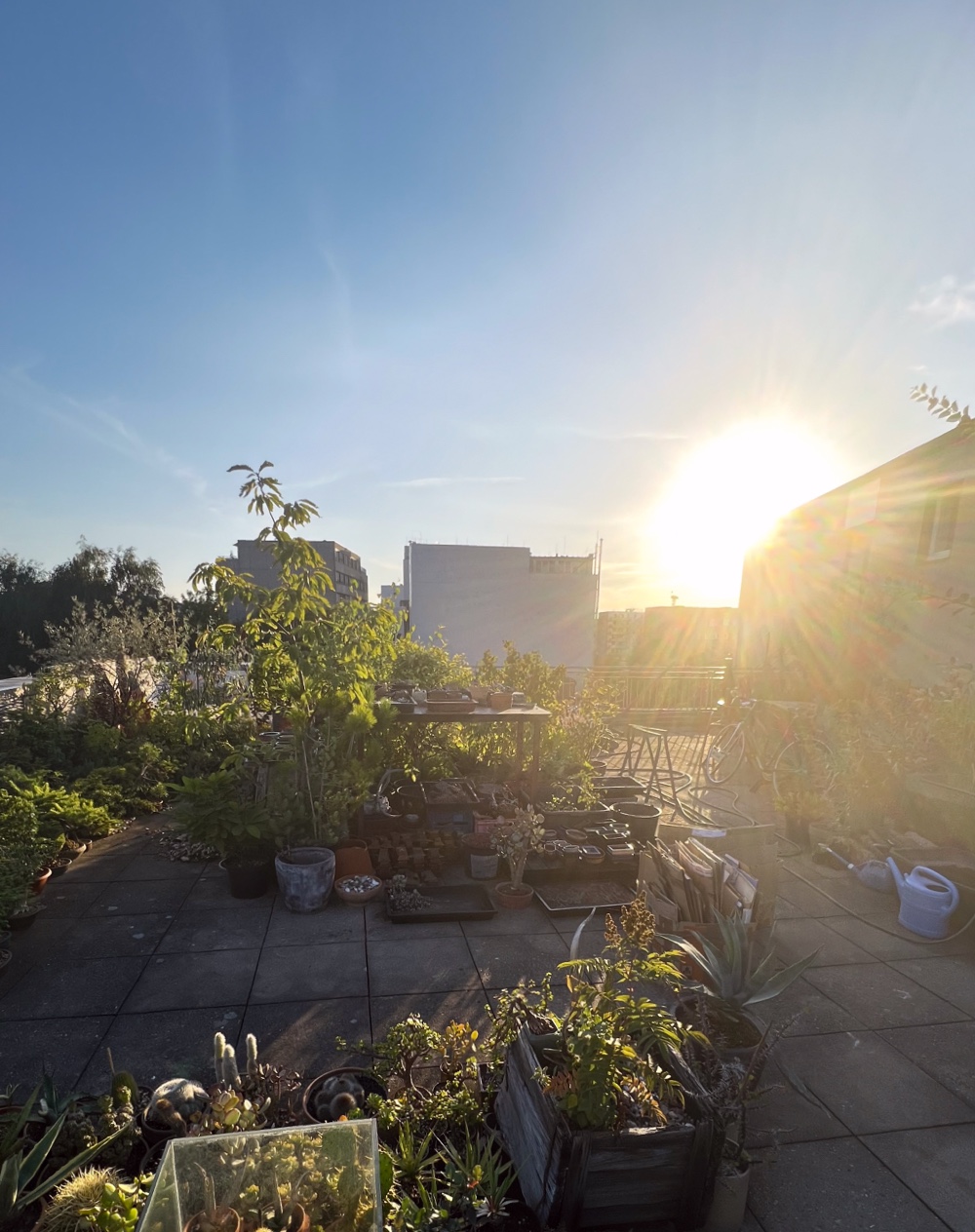 Dachterrasse nach Westen Vorschaubild goot-oort.studio