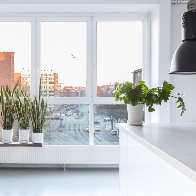 Ausblick mit Pflanzen Vorschaubild goot-oort.studio